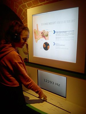  Grafika #38: Wycieczka do Centrum Hewelianum w Gdańsku