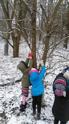 Grafika #1: Dokarmiamy ptaki