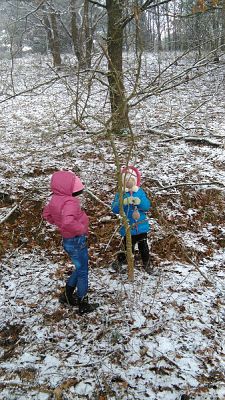 Grafika #2: Dokarmiamy ptaki