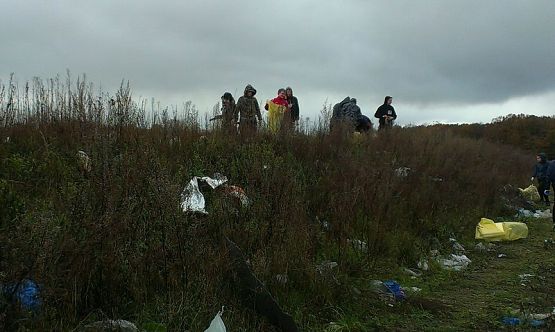  Grafika #1: Warsztaty ekologiczne