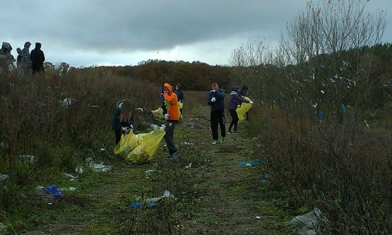  Grafika #2: Warsztaty ekologiczne
