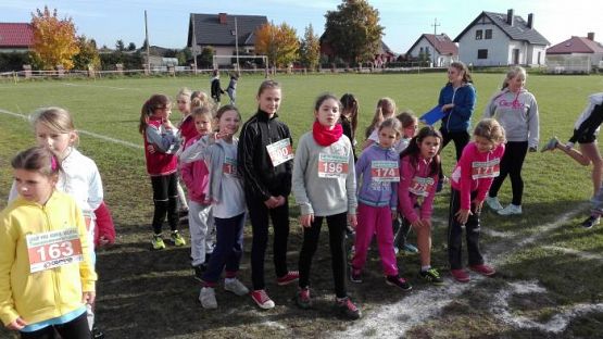  Grafika #1: Drużynowe biegi przełajowe