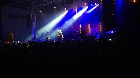  Grafika #2: NIEĆPA 2016