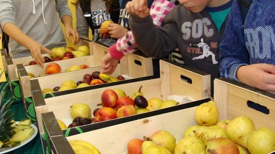 Grafika #17: Promujemy zdrowe odżywianie