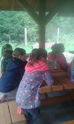 Grafika #5: Spotkanie z leśniczym