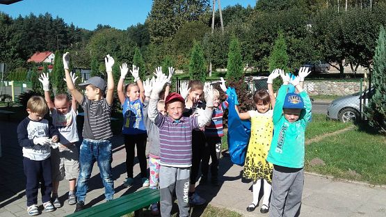  Grafika #1: Sprzątanie Świata 2016 r.