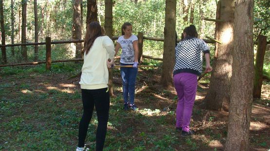  Grafika #2: Sprzątanie Świata 2016 r.