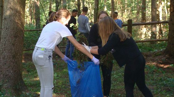  Grafika #5: Sprzątanie Świata 2016 r.