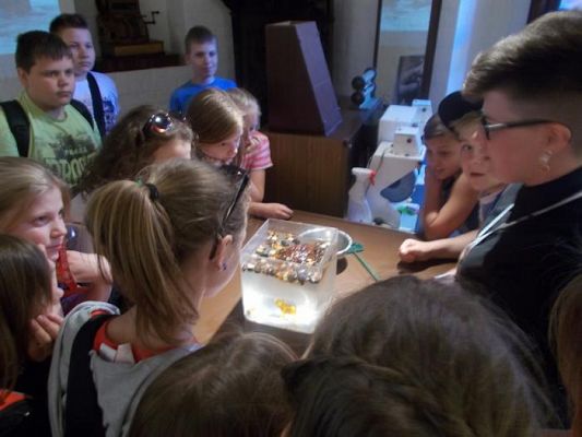  Grafika #63: Uczniowie klasy IV i V w Malborku