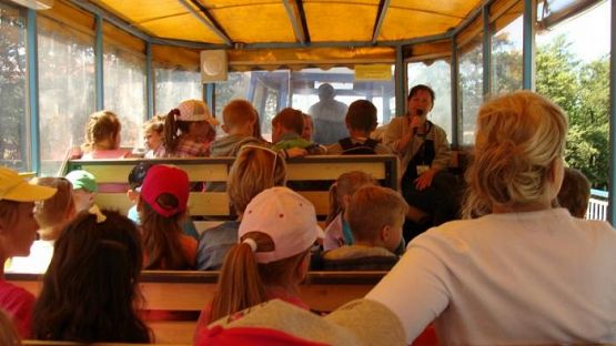  Grafika #36: Wycieczka do Ustki