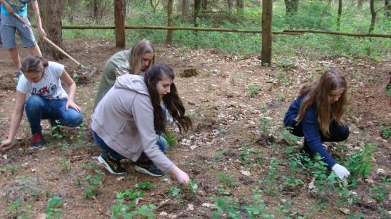 Grafika #3: Pamiętamy o ofiarach I wojny światowej