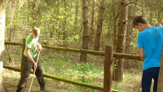 Grafika #10: Pamiętamy o ofiarach I wojny światowej