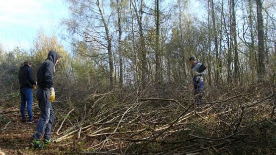 Grafika #1: Warsztaty ekologiczne