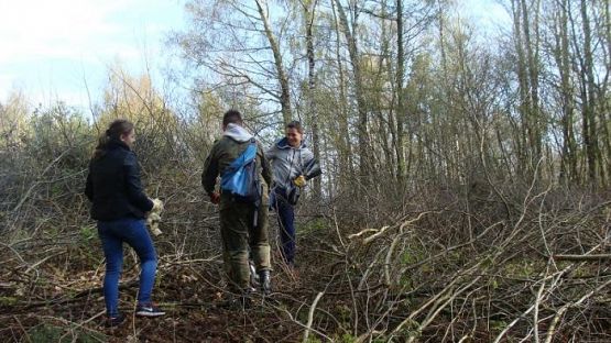 Grafika #3: Warsztaty ekologiczne