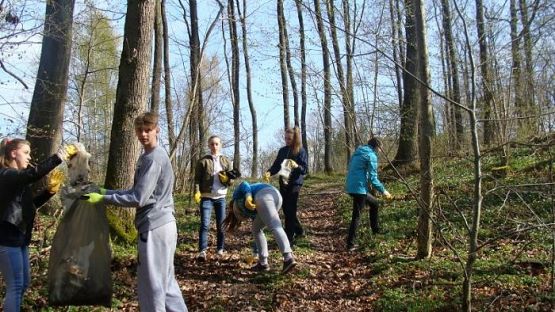 Grafika #4: Warsztaty ekologiczne