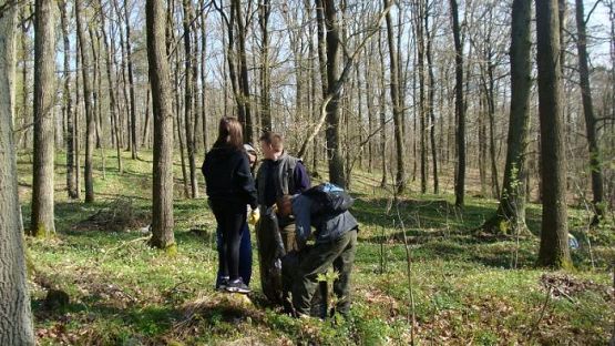 Grafika #5: Warsztaty ekologiczne