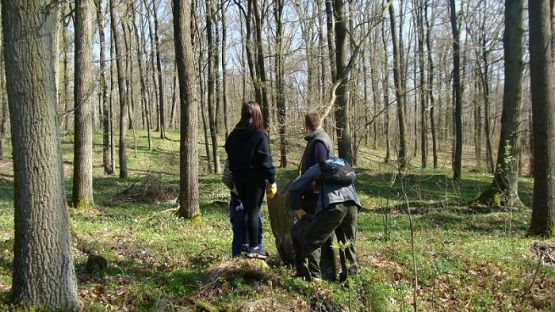 Grafika #6: Warsztaty ekologiczne