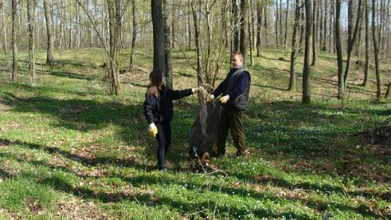 Grafika #8: Warsztaty ekologiczne