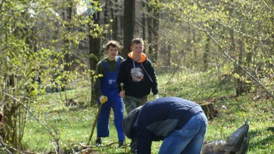 Grafika #10: Warsztaty ekologiczne