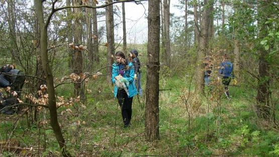 Grafika #18: Warsztaty ekologiczne