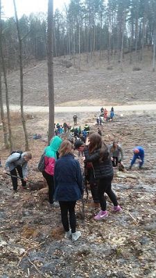 Grafika #2: Nasi uczniowie wzięli udział w akcji