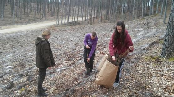 Grafika #3: Nasi uczniowie wzięli udział w akcji