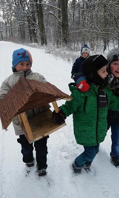  Grafika #0: Dbamy o zwierzęta leśne podczas zimy