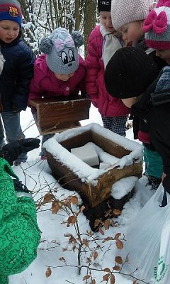  Grafika #1: Dbamy o zwierzęta leśne podczas zimy