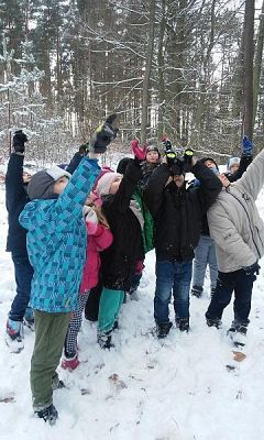  Grafika #4: Dbamy o zwierzęta leśne podczas zimy