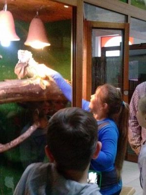 Grafika #17: Wycieczka kl. III i V do egzotycznego ZOO w Tuchlinie.