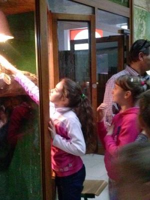 Grafika #18: Wycieczka kl. III i V do egzotycznego ZOO w Tuchlinie.