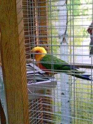 Grafika #19: Wycieczka kl. III i V do egzotycznego ZOO w Tuchlinie.