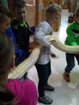 Grafika #24: Wycieczka kl. III i V do egzotycznego ZOO w Tuchlinie.