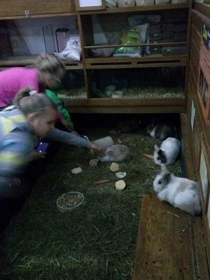 Grafika #30: Wycieczka kl. III i V do egzotycznego ZOO w Tuchlinie.