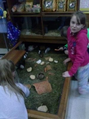 Grafika #31: Wycieczka kl. III i V do egzotycznego ZOO w Tuchlinie.