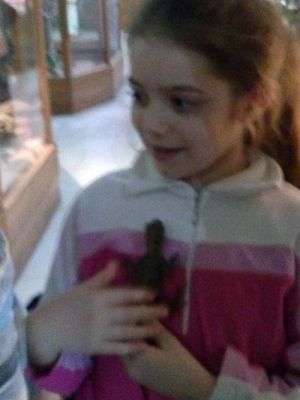 Grafika #36: Wycieczka kl. III i V do egzotycznego ZOO w Tuchlinie.