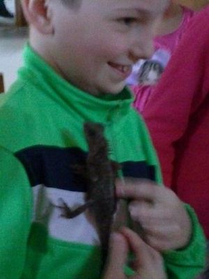 Grafika #41: Wycieczka kl. III i V do egzotycznego ZOO w Tuchlinie.