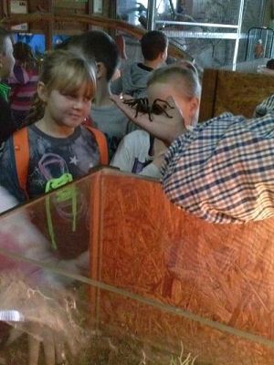 Grafika #51: Wycieczka kl. III i V do egzotycznego ZOO w Tuchlinie.