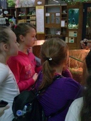 Grafika #52: Wycieczka kl. III i V do egzotycznego ZOO w Tuchlinie.