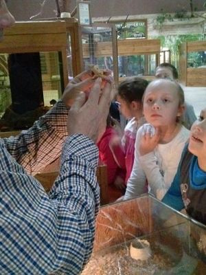 Grafika #54: Wycieczka kl. III i V do egzotycznego ZOO w Tuchlinie.