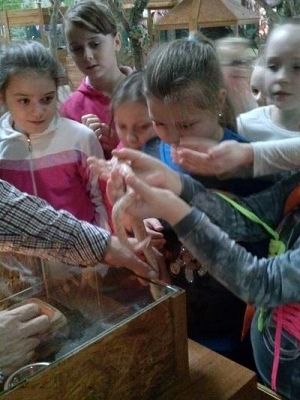 Grafika #59: Wycieczka kl. III i V do egzotycznego ZOO w Tuchlinie.