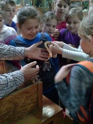 Grafika #56: Wycieczka kl. III i V do egzotycznego ZOO w Tuchlinie.