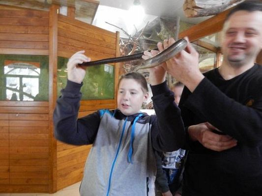 Grafika #2: Wycieczka kl. III i V do egzotycznego ZOO w Tuchlinie.