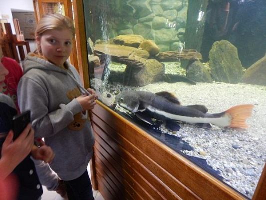 Grafika #4: Wycieczka kl. III i V do egzotycznego ZOO w Tuchlinie.