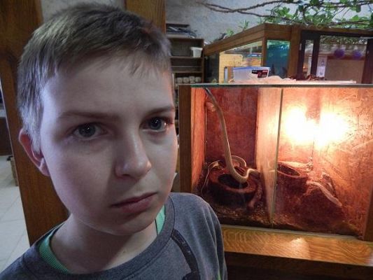 Grafika #5: Wycieczka kl. III i V do egzotycznego ZOO w Tuchlinie.