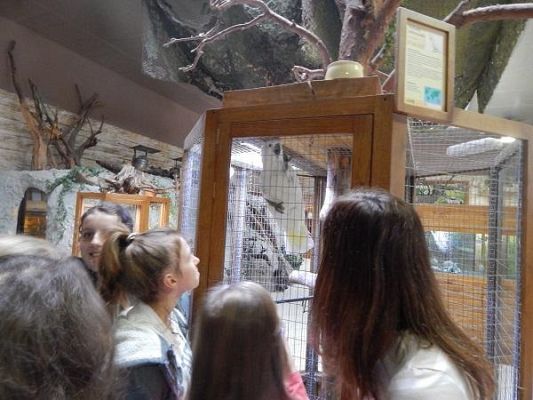 Grafika #6: Wycieczka kl. III i V do egzotycznego ZOO w Tuchlinie.
