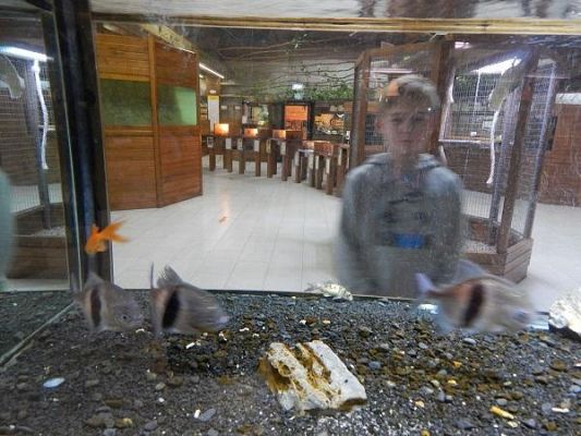 Grafika #8: Wycieczka kl. III i V do egzotycznego ZOO w Tuchlinie.