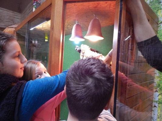 Grafika #9: Wycieczka kl. III i V do egzotycznego ZOO w Tuchlinie.