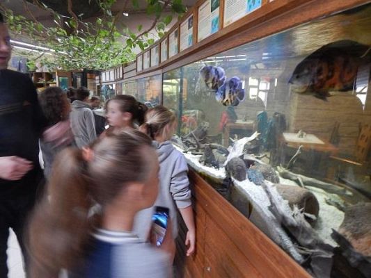 Grafika #12: Wycieczka kl. III i V do egzotycznego ZOO w Tuchlinie.