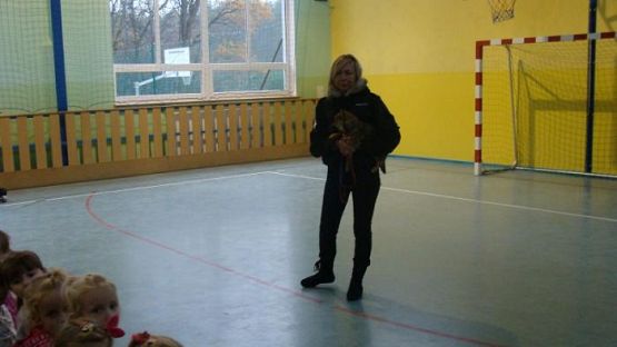  Grafika #0: Schronisko dla bezdomnych zwierząt OTOZ Animals w Dąbrówce k/ Wejherowa